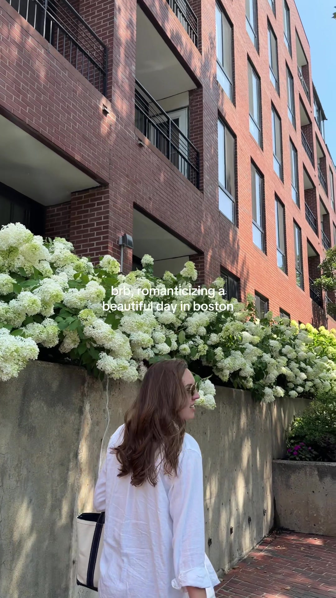 @sasha | beantown babe 🦞