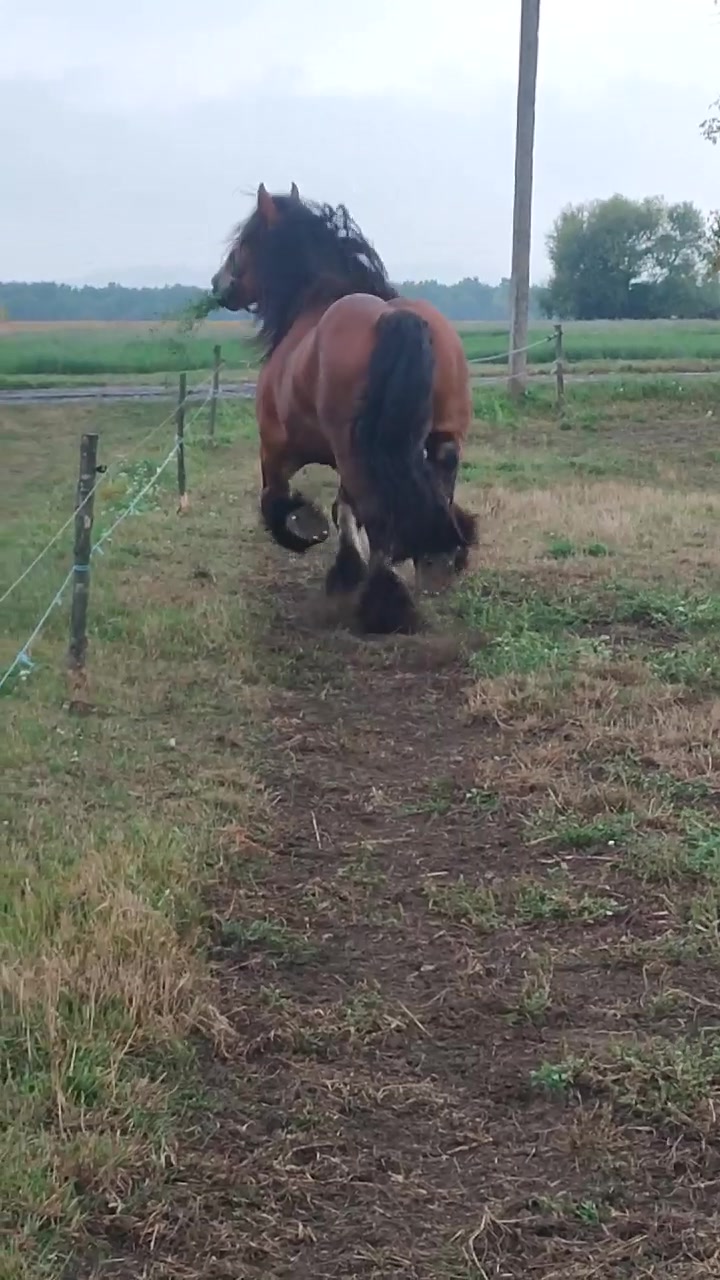 @ВАСЯ БОЙЧУК 🐎