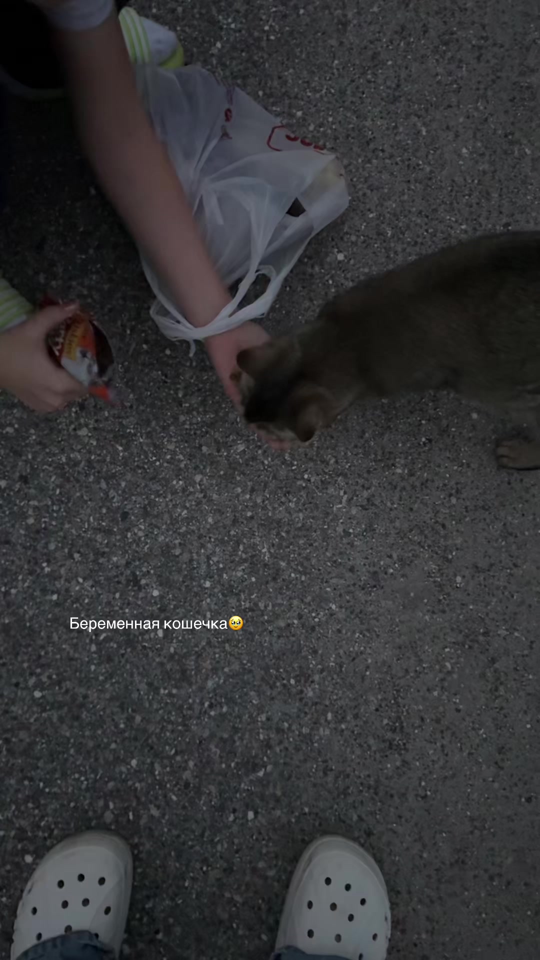 @Anastasiia