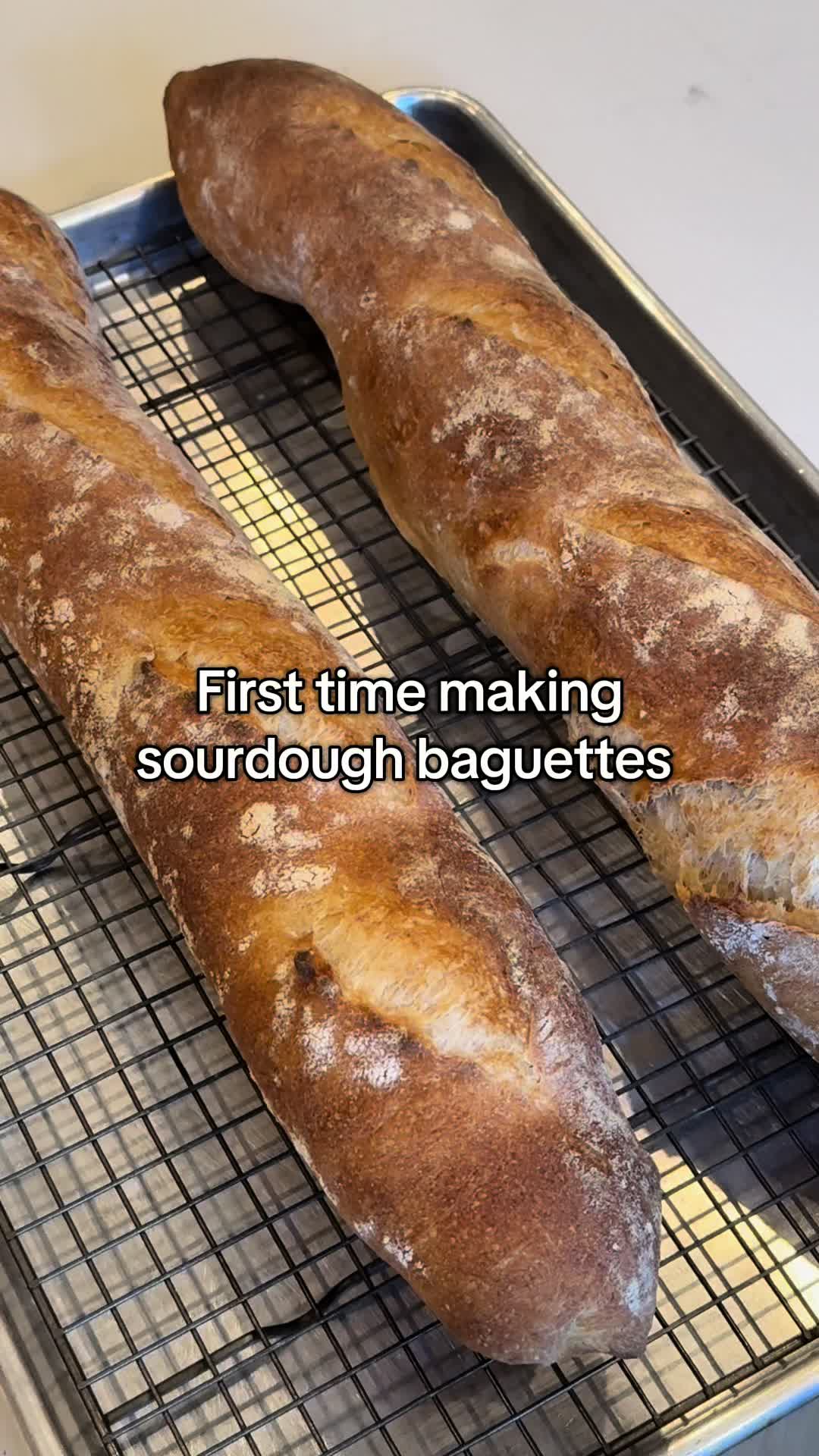 @juddhayne