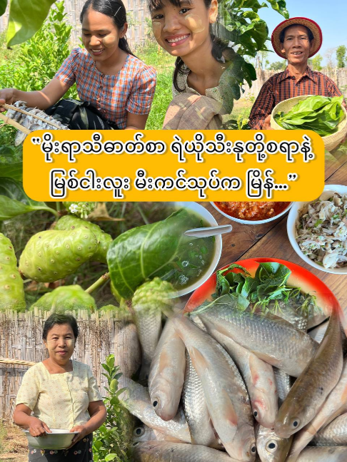 @Yar Taw Thu - ယာတောသူ
