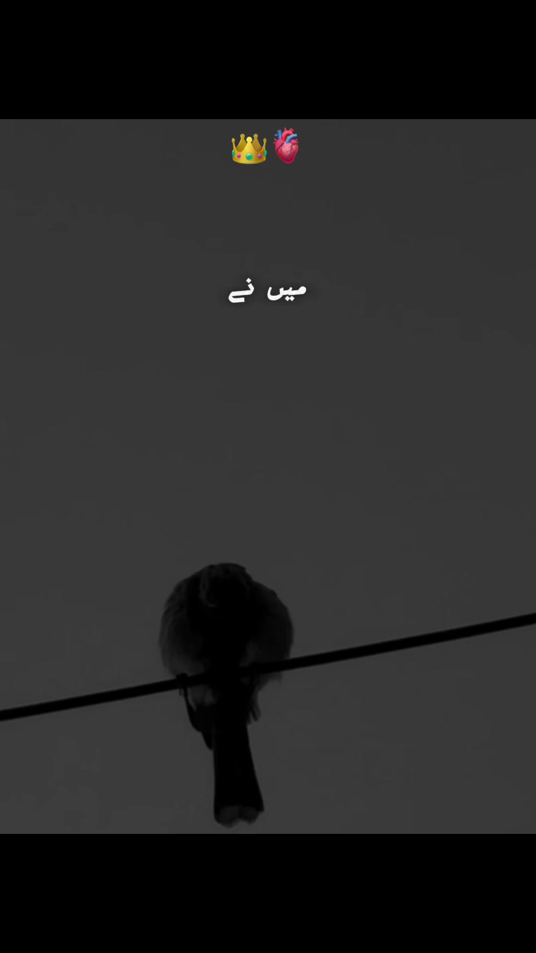 @پنجابی کلچر 🌾🍂