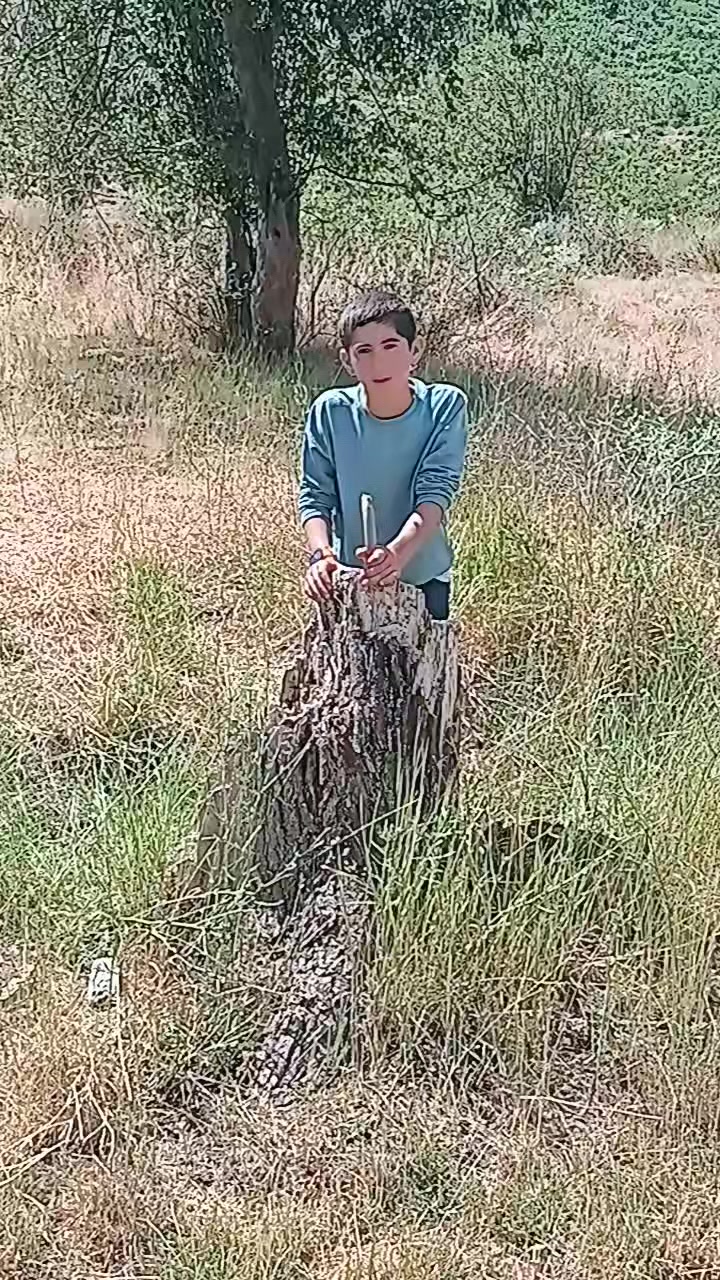 @Üveys Aykutalp