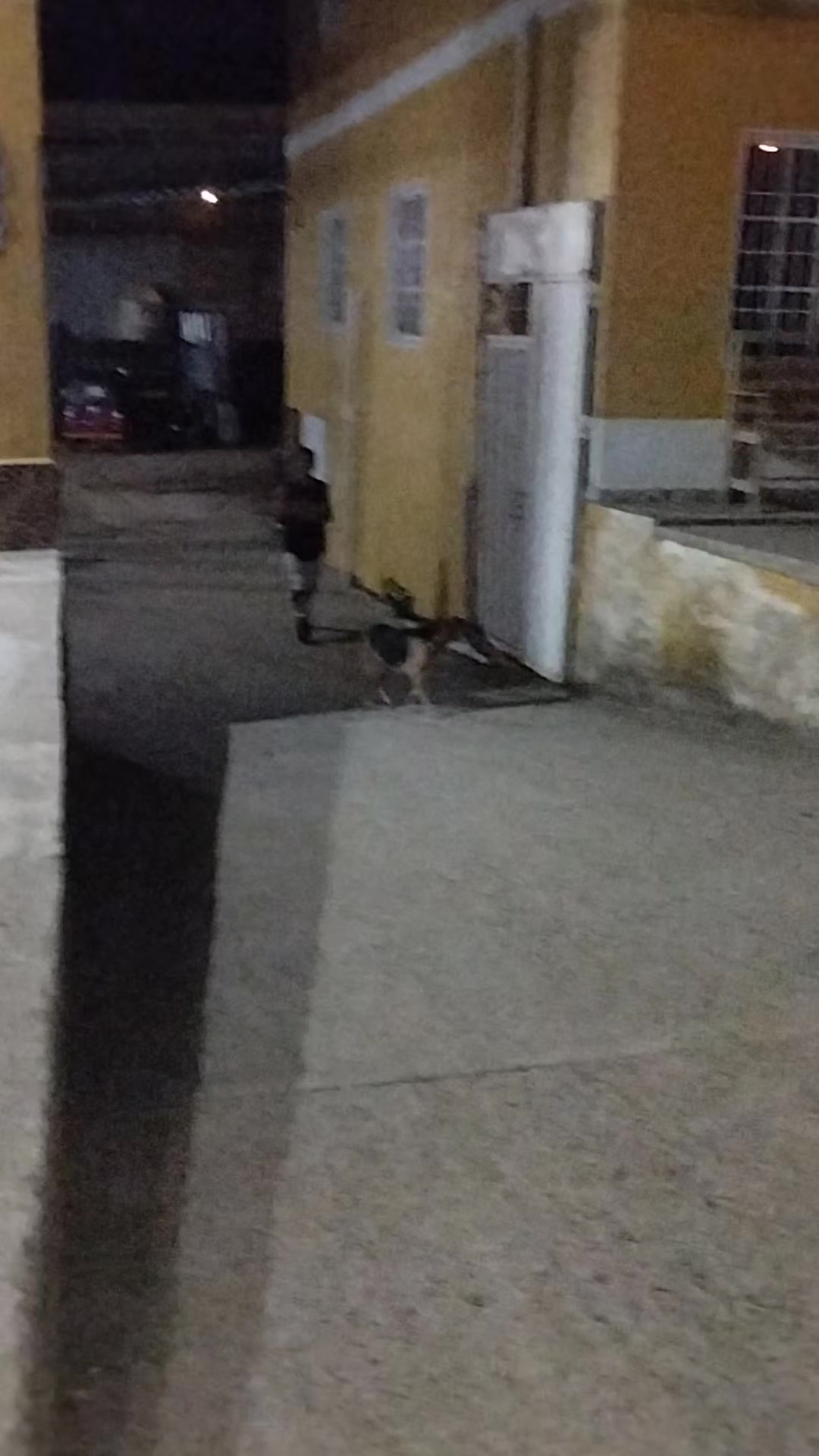 @Mototaxistas 0311
