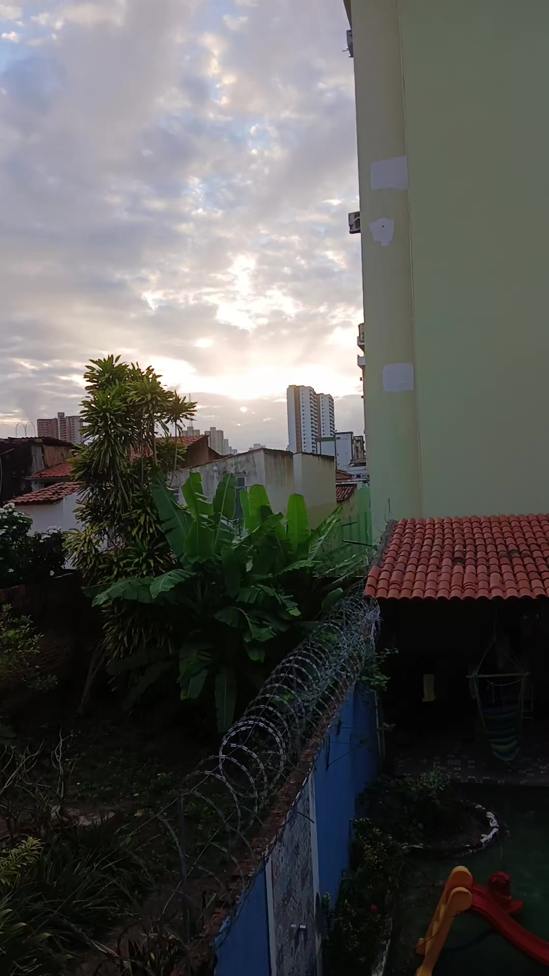 @Juci Oliveira