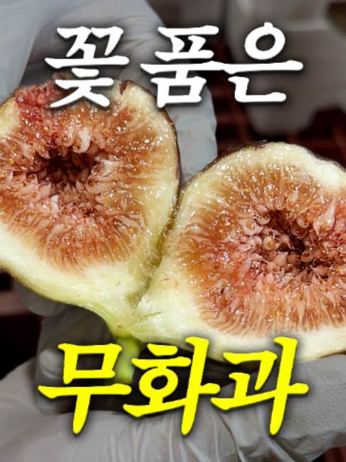 @해운대송사장