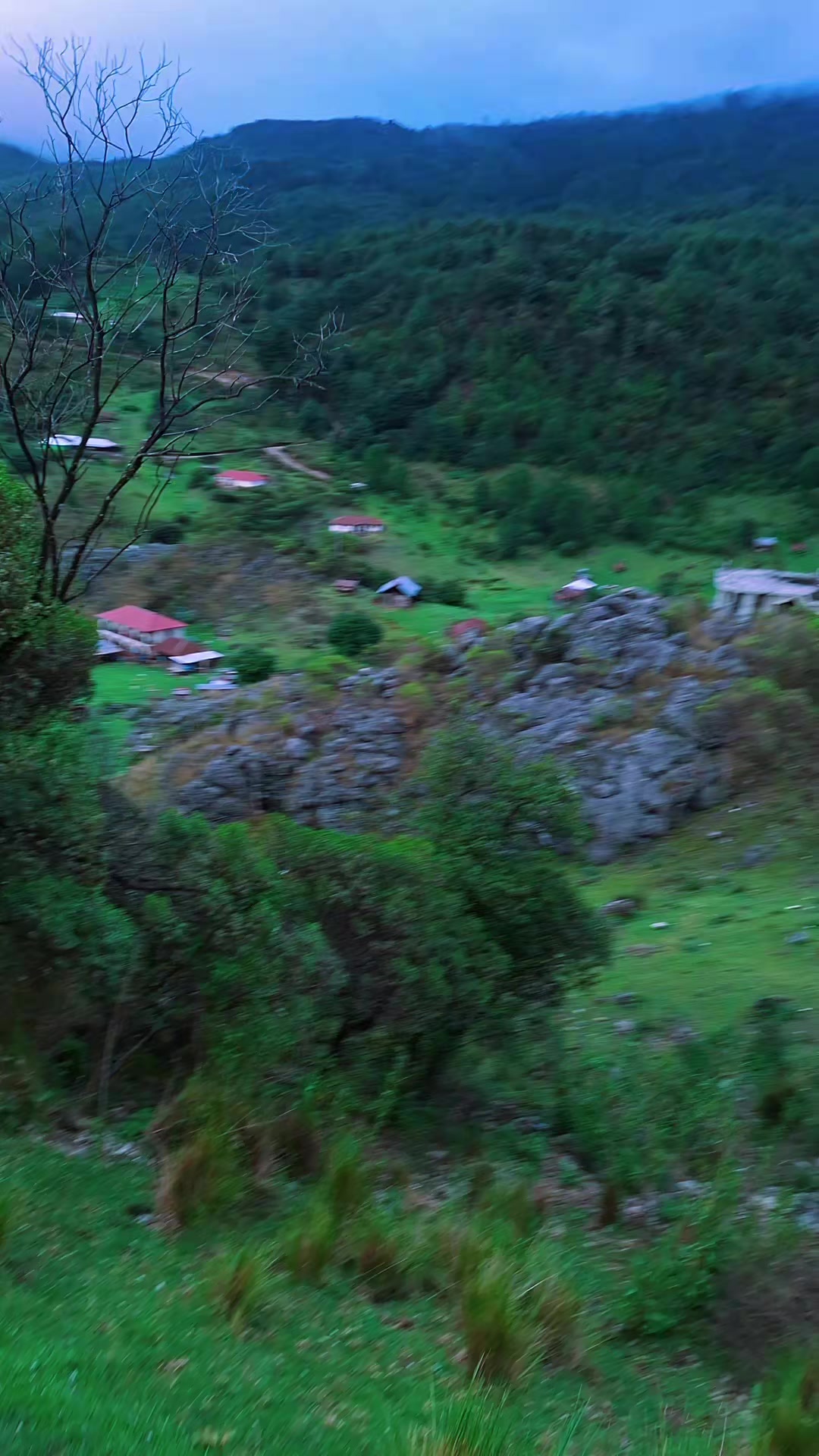 @La muñequita