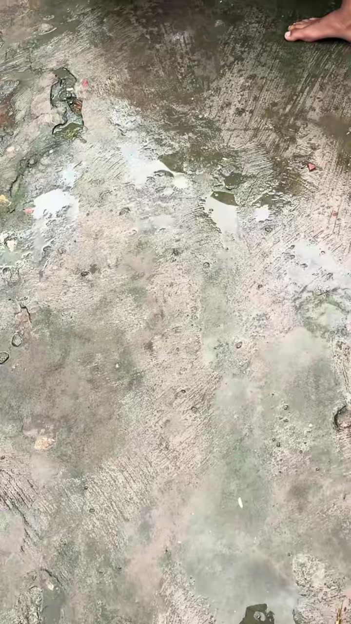 @peiixotofc