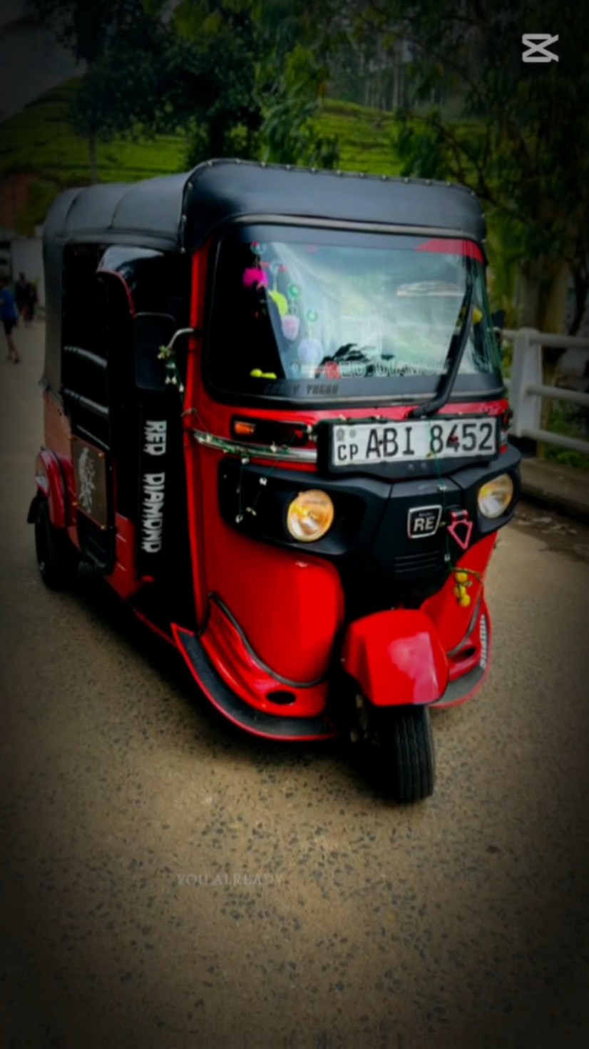 @Shanmu