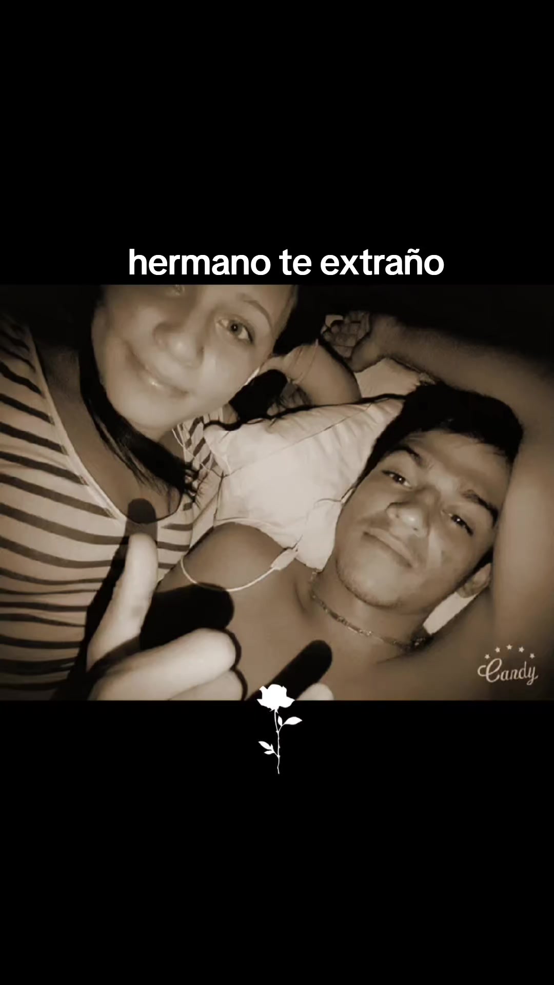 @gatita Zu