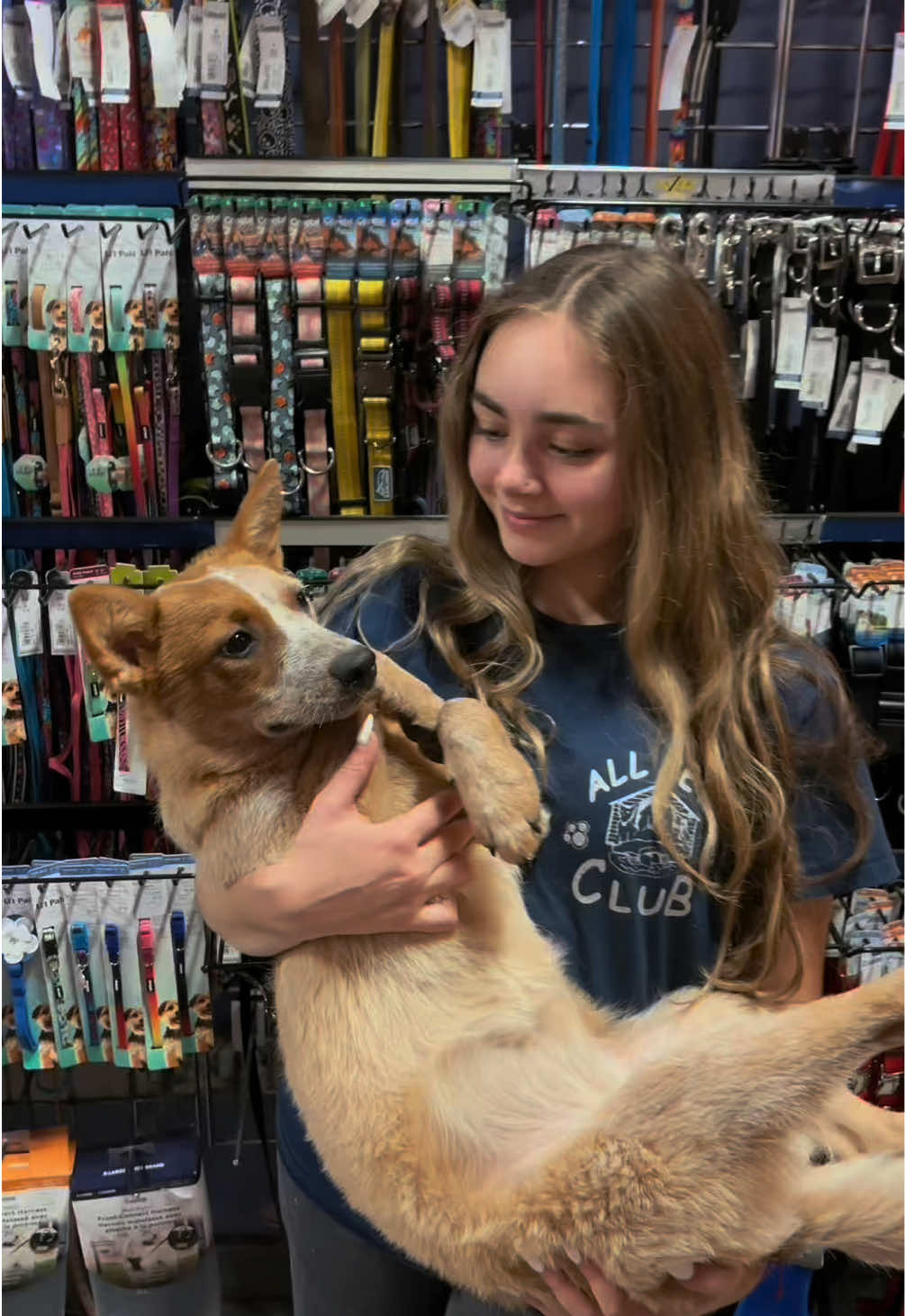 @All Pets Club