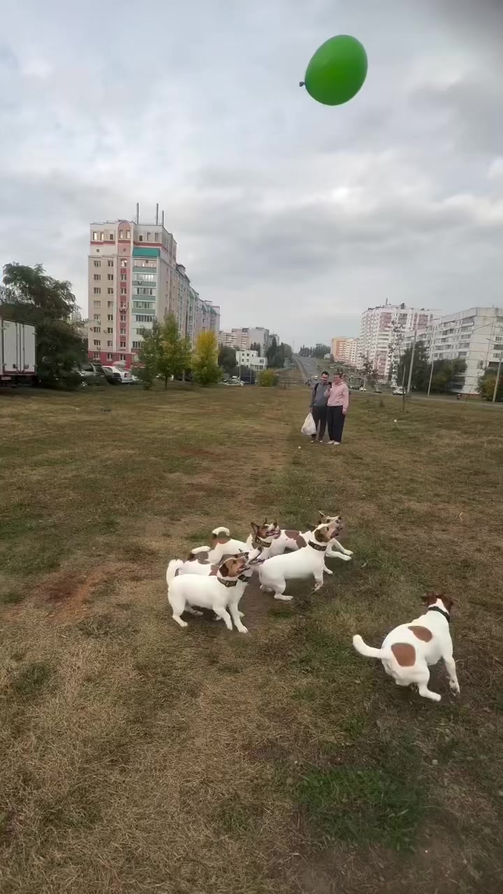 @ratkoslav purenjak