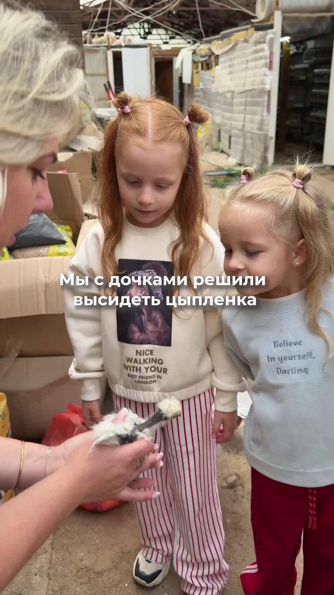 @lelliksolnce