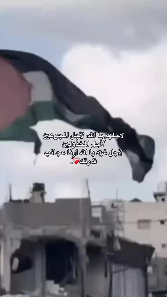 @طريق الهداية