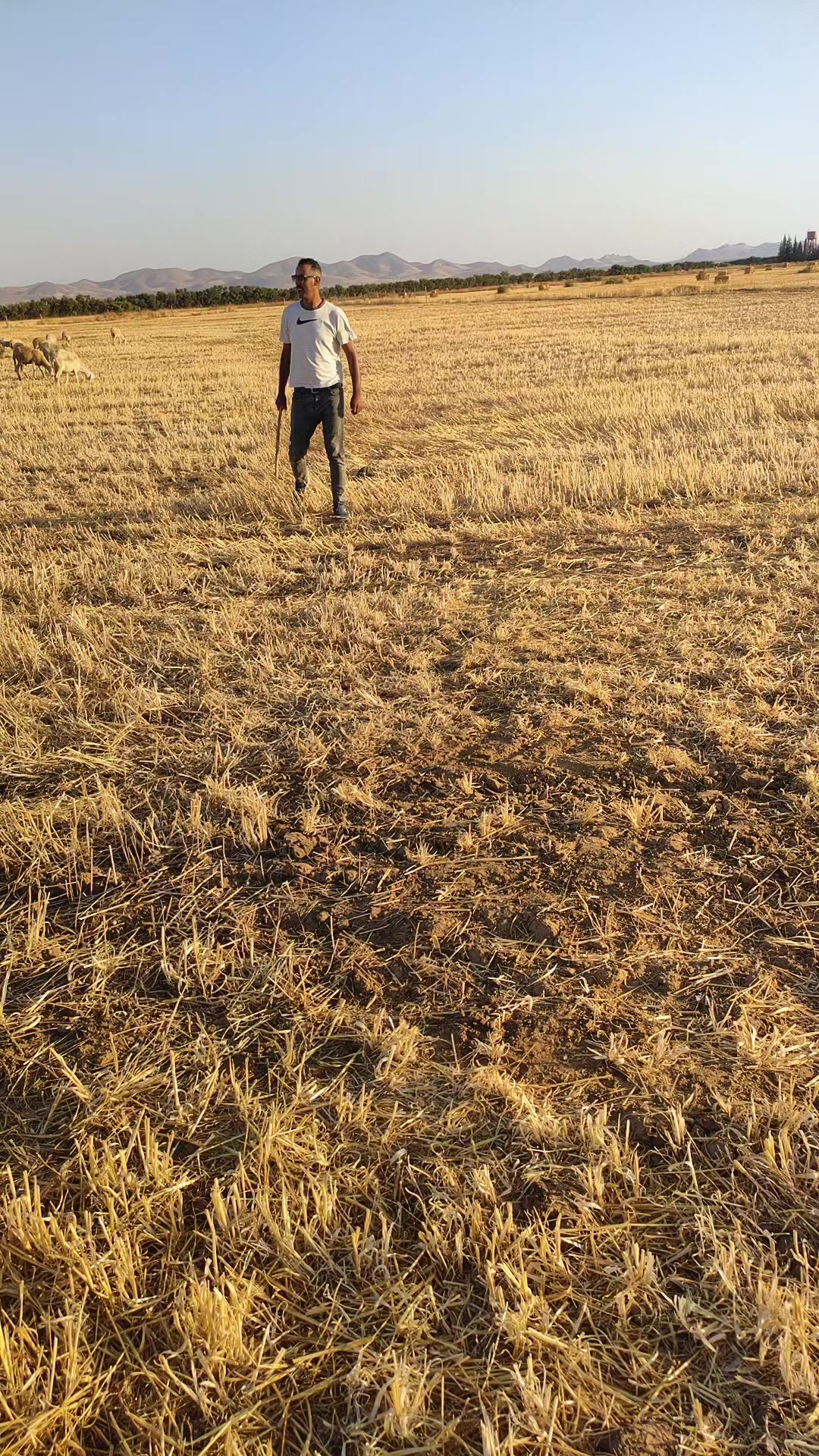 @chak chabani 🇮🇹⚓💰شكشباني