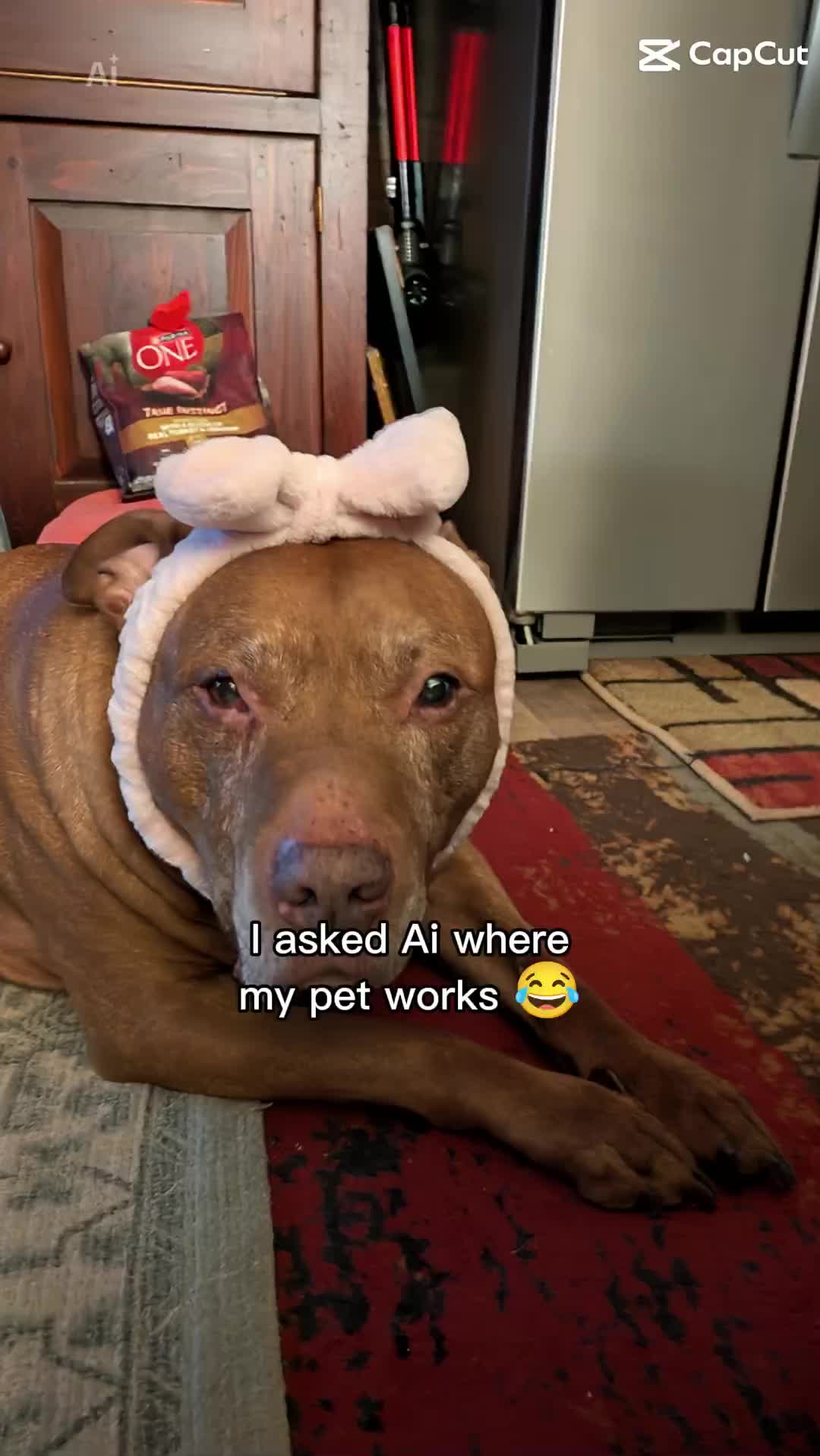 @Penntucky