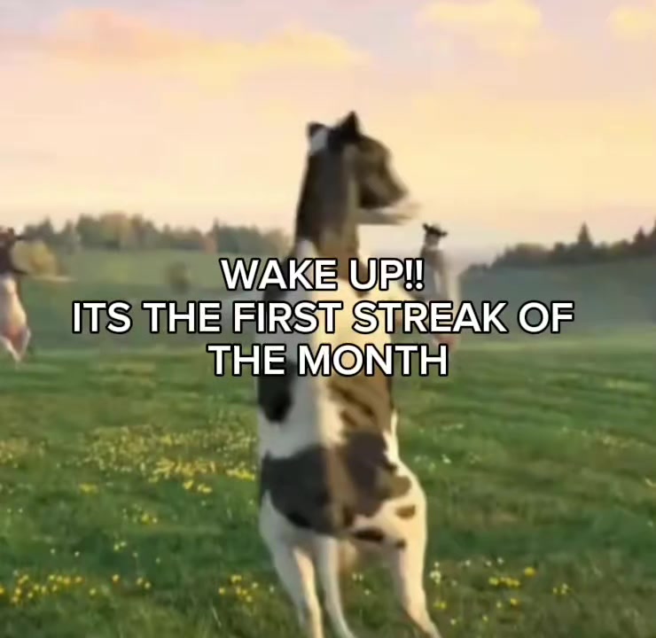 @♤Zeus
