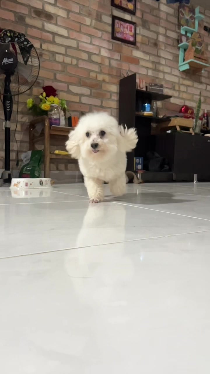 @๐๐๐๐ ๐ธ๐๐๐๐๐