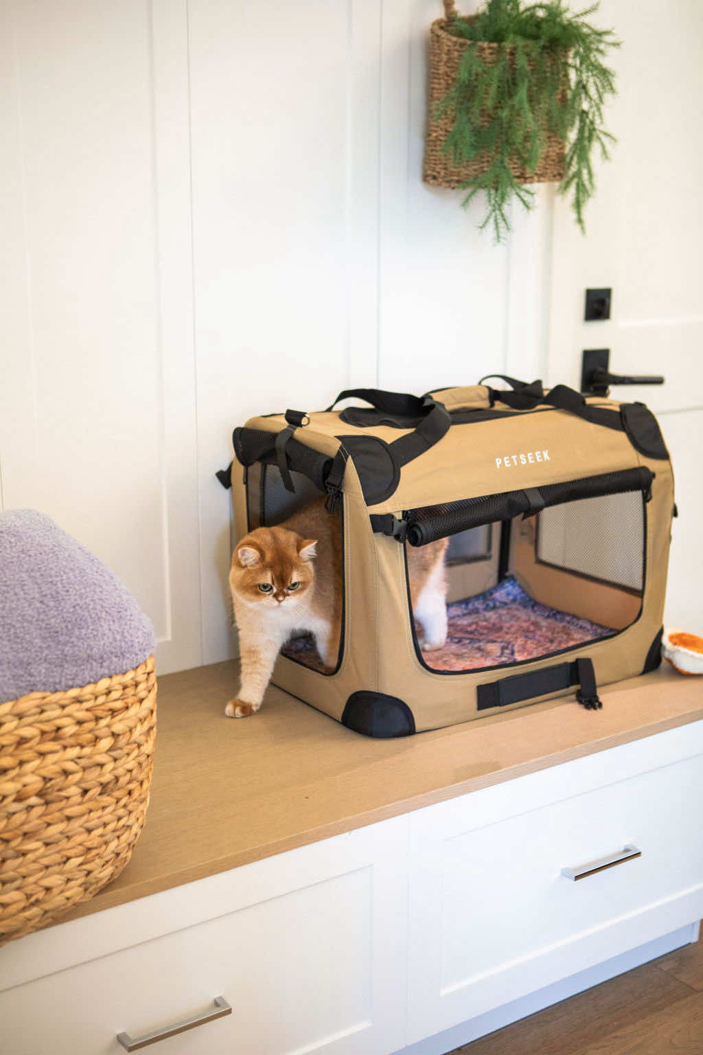 @Lovewag Pets