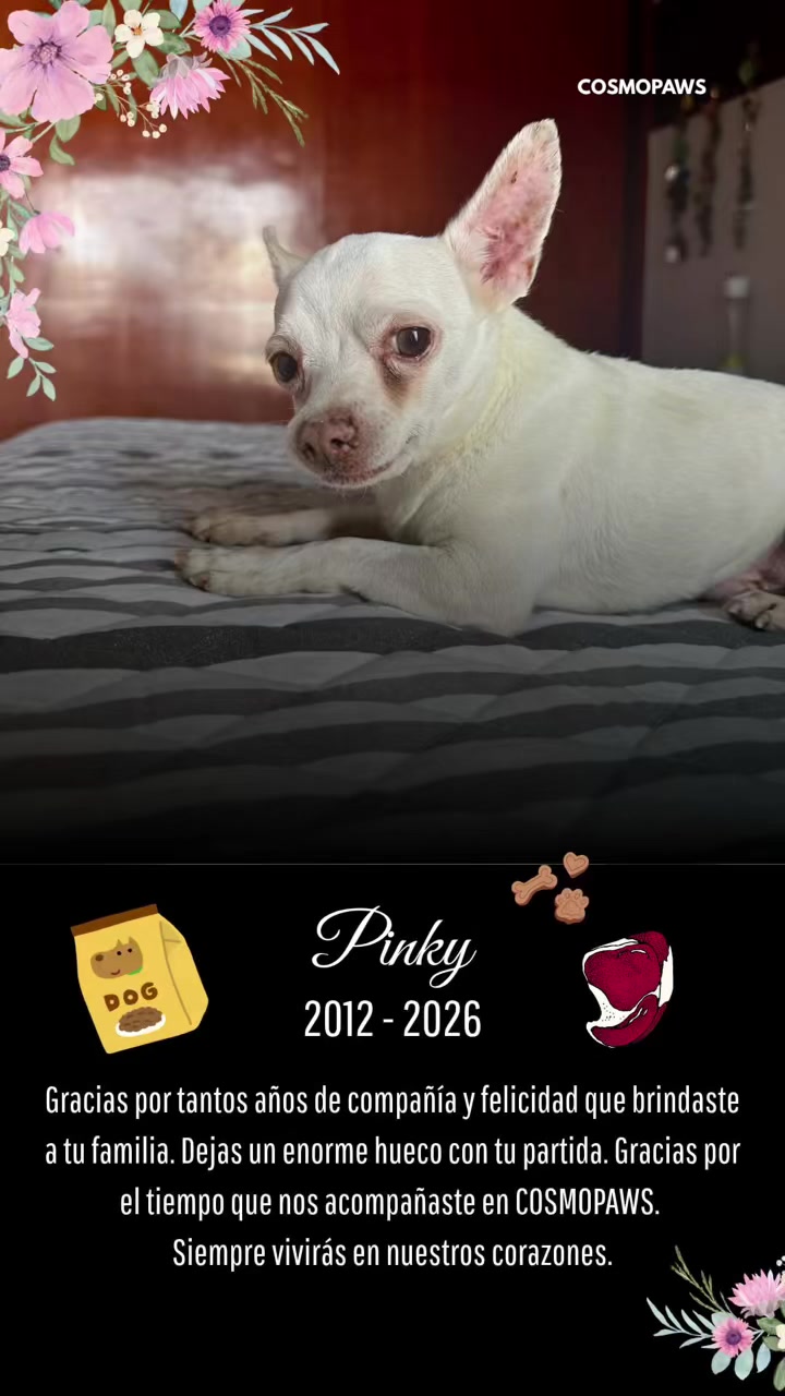 @HeyCosmopaws!