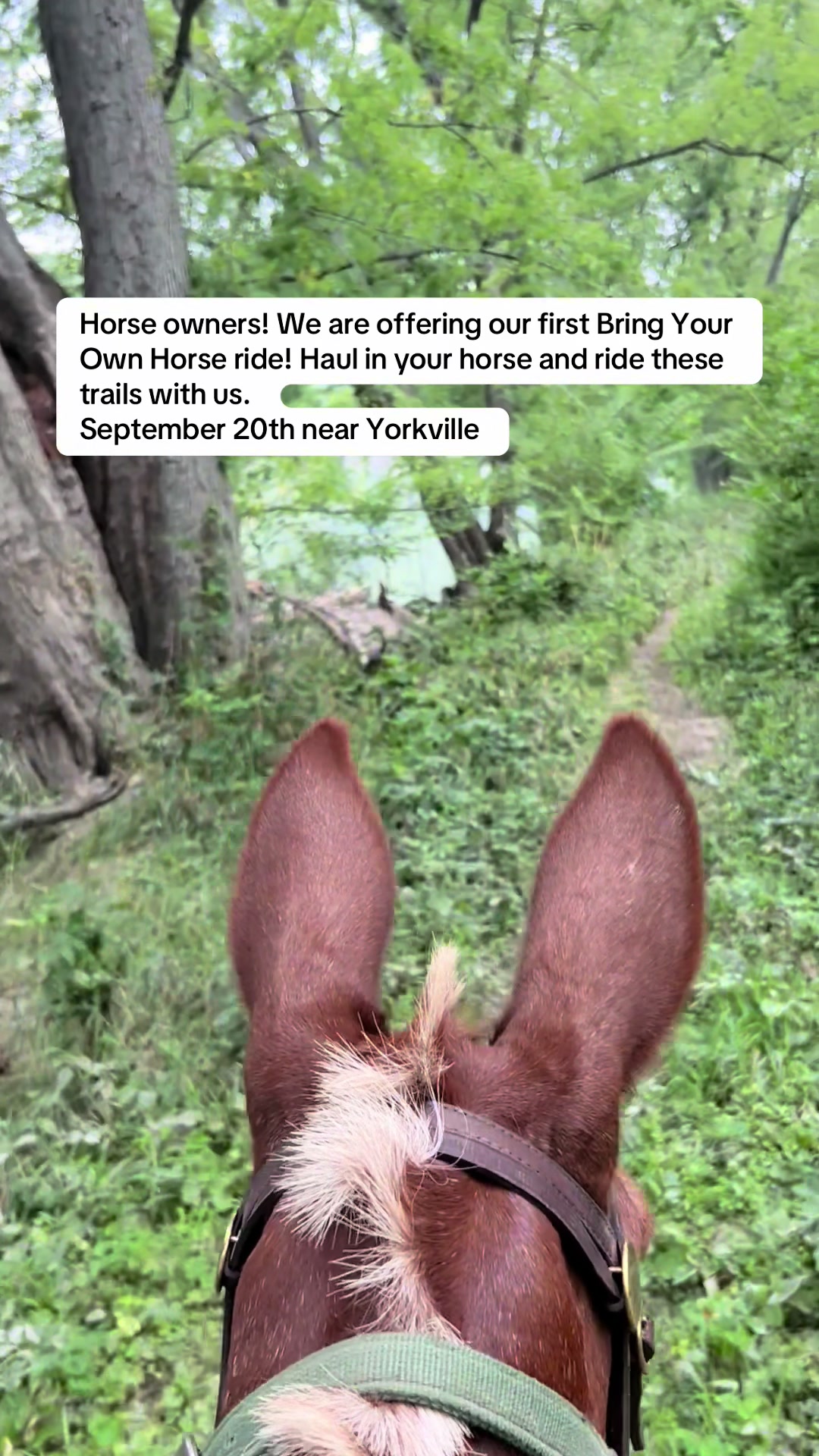 @Millbrook Trail Rides