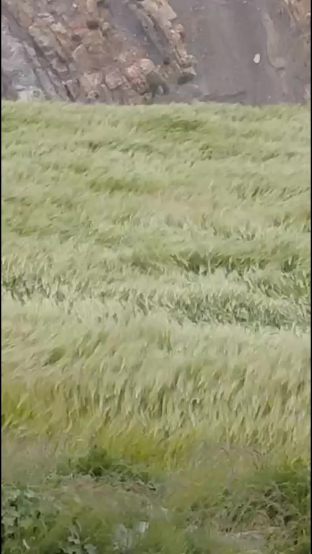 @Anju Sharma