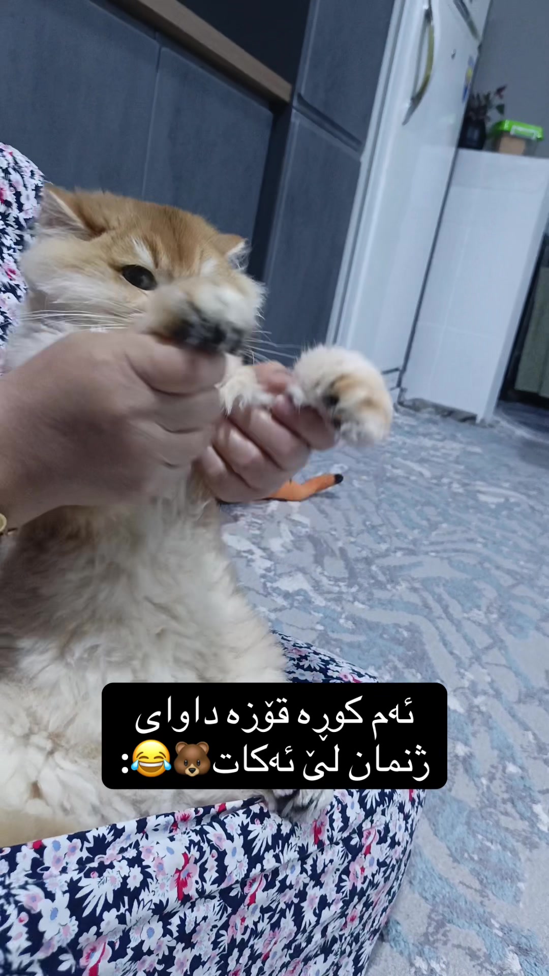 @3pshilaka