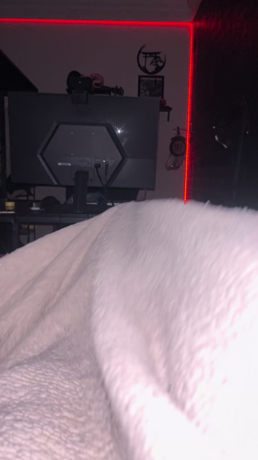 @Elpedrito19