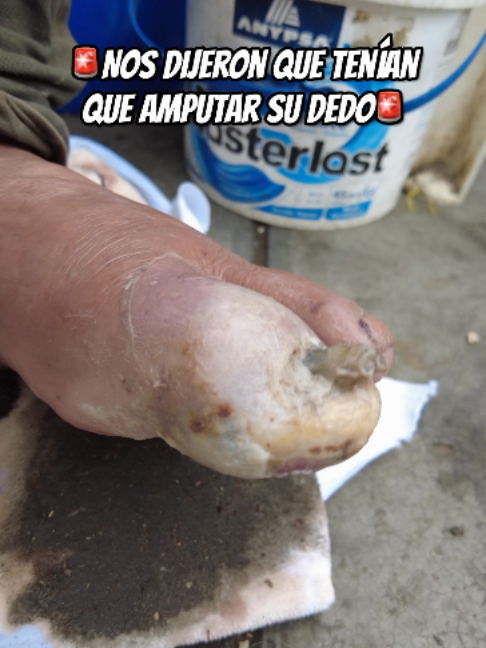 @AdoptaUnAbuelito