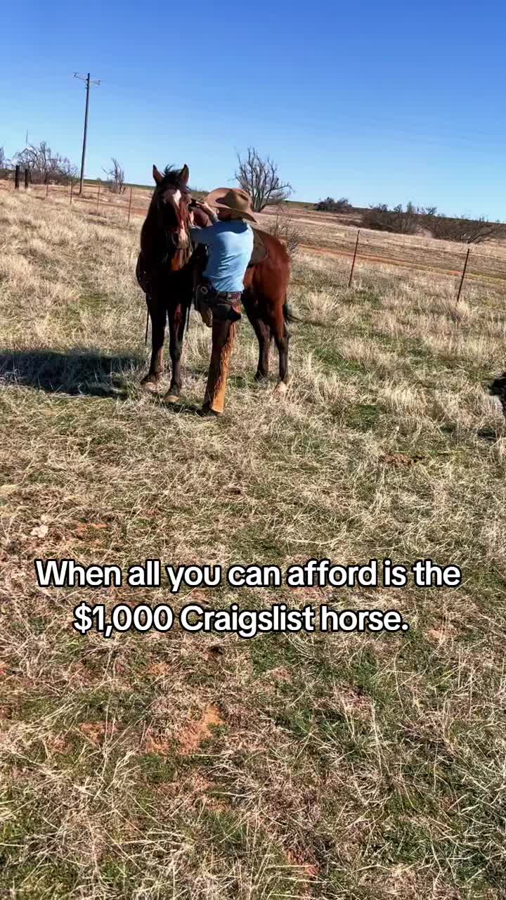 @🐴 ColdMountainRanch 🏇