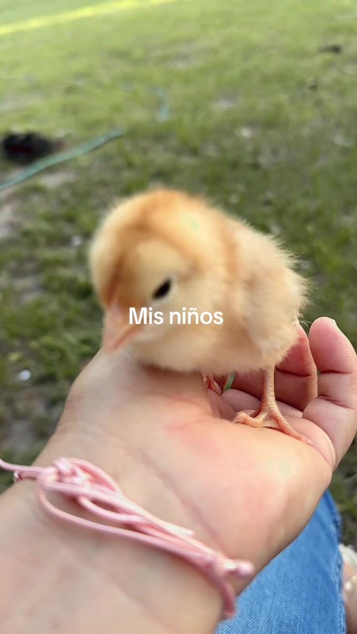 @Azeneth ayala