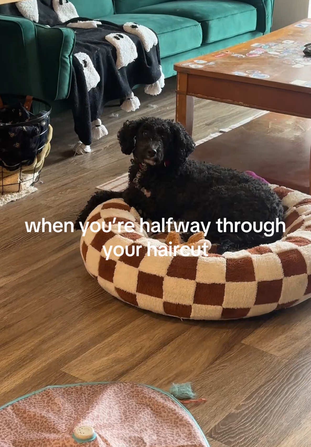 @nat