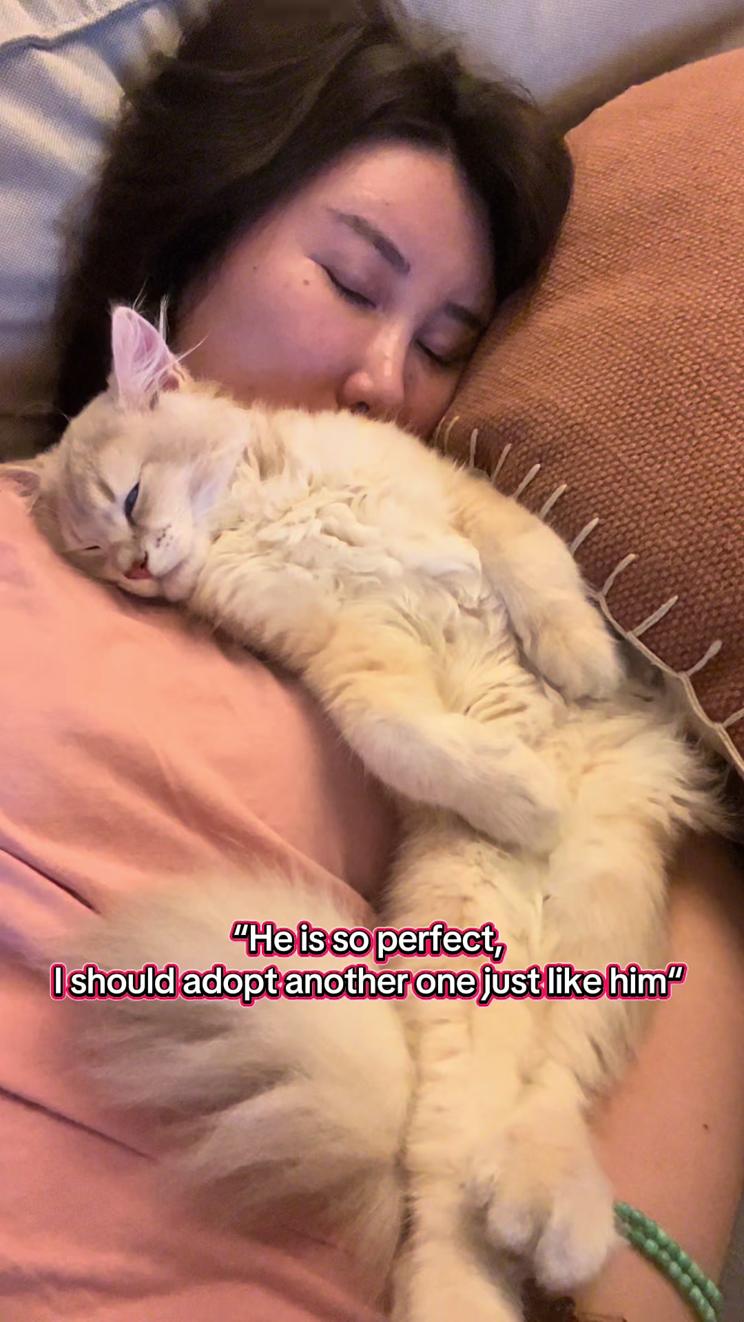 @WaggingTales