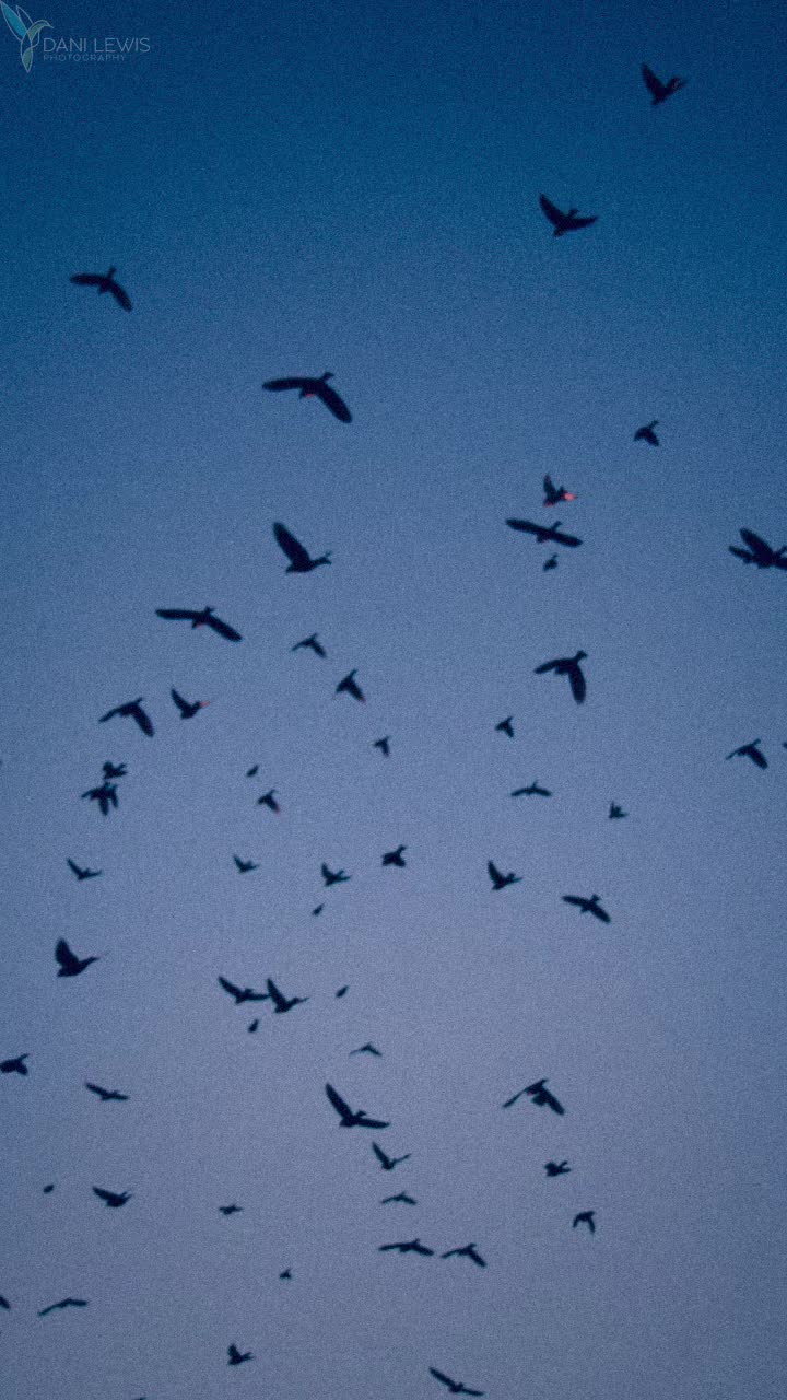 @Dani🌜