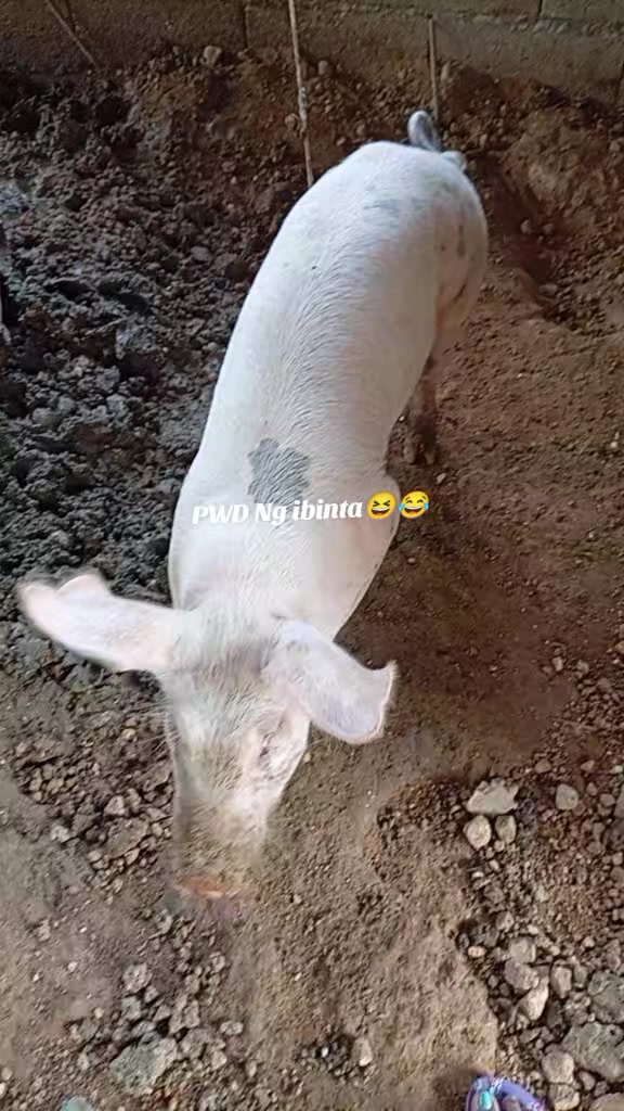 @Ashley Nicole Parre&ntilde;o