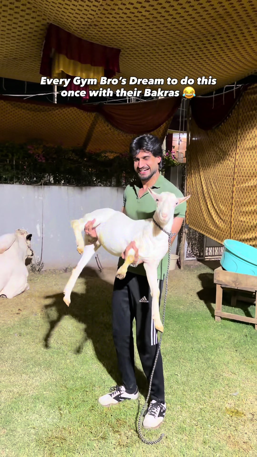 @Sarmad Butt