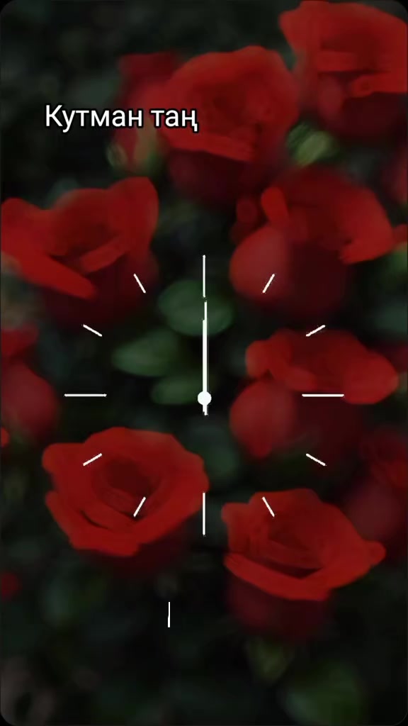 @Чынара ~🌹~