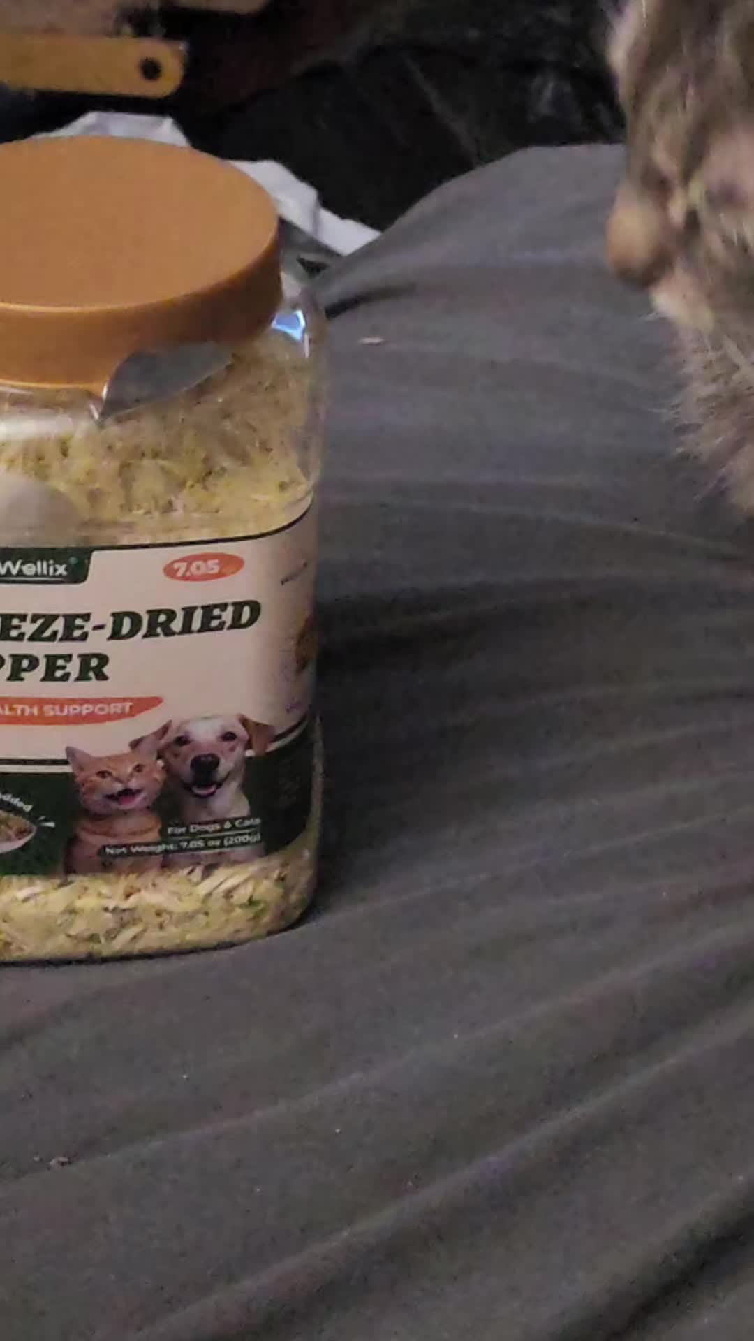 @Polyweird