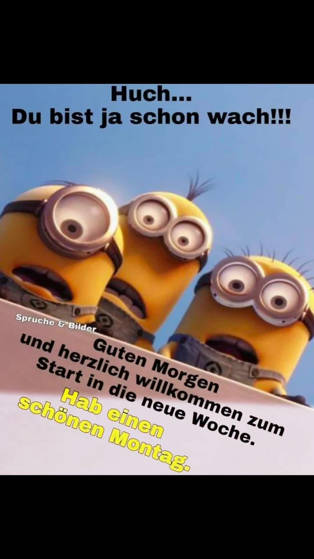 @stefangeilhausen3
