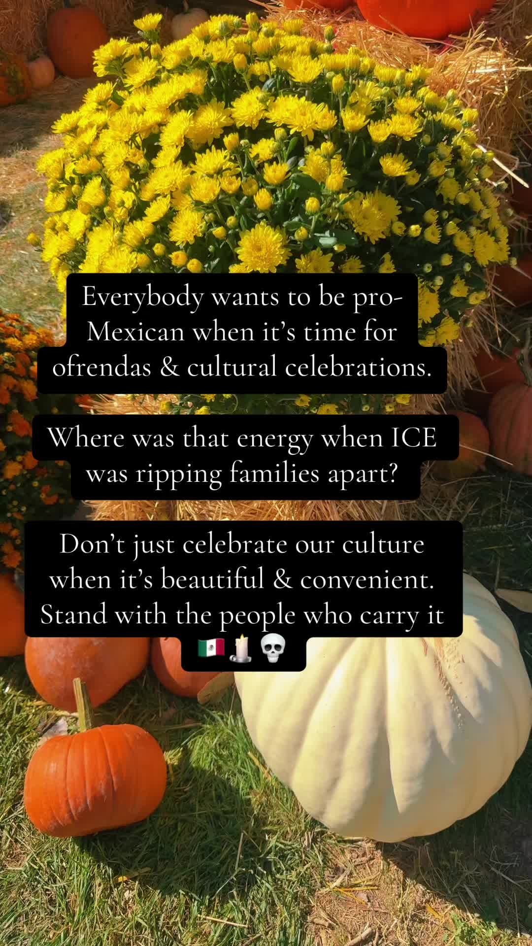 @trishaovershares
