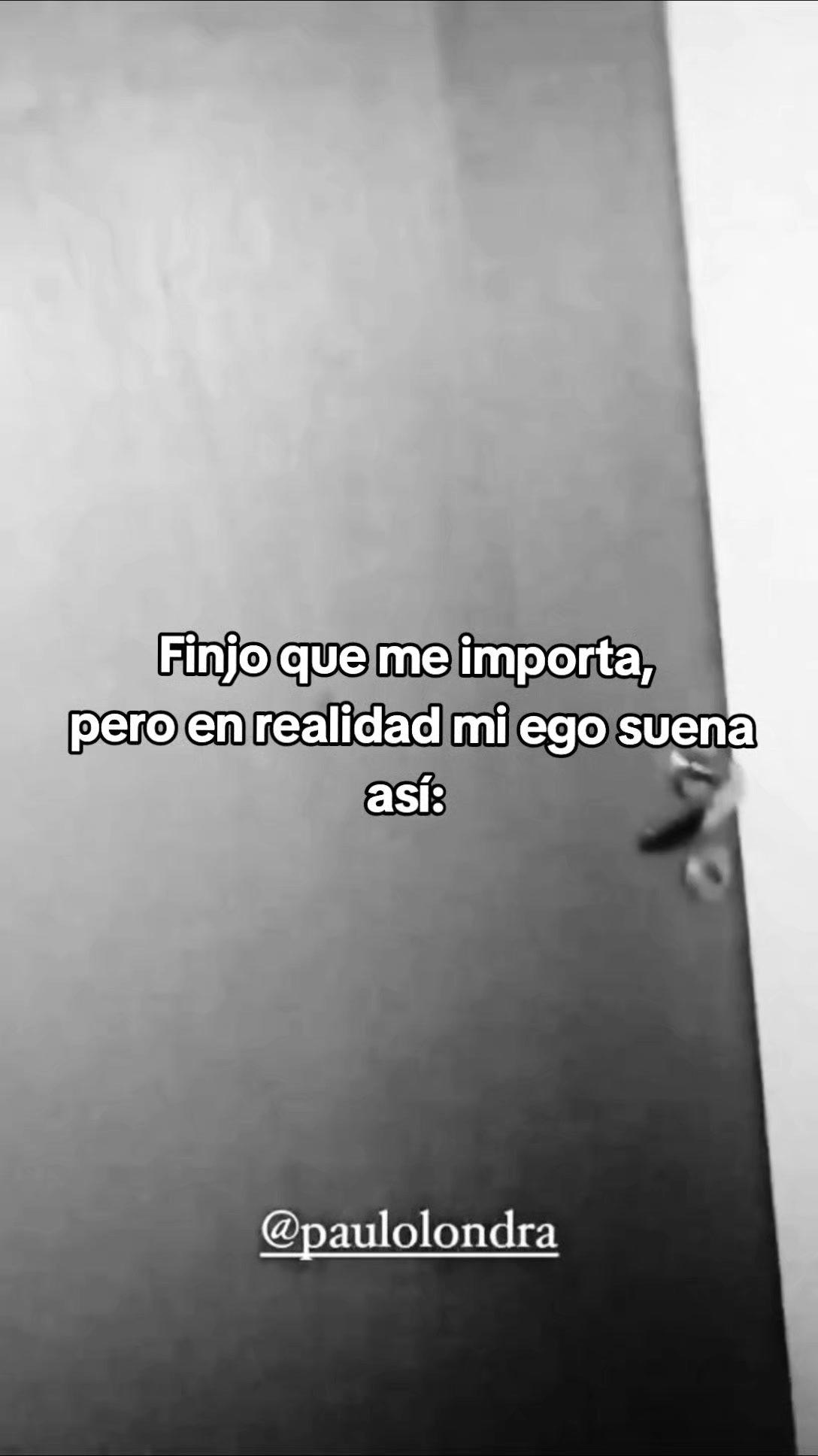 @jassonvelas10