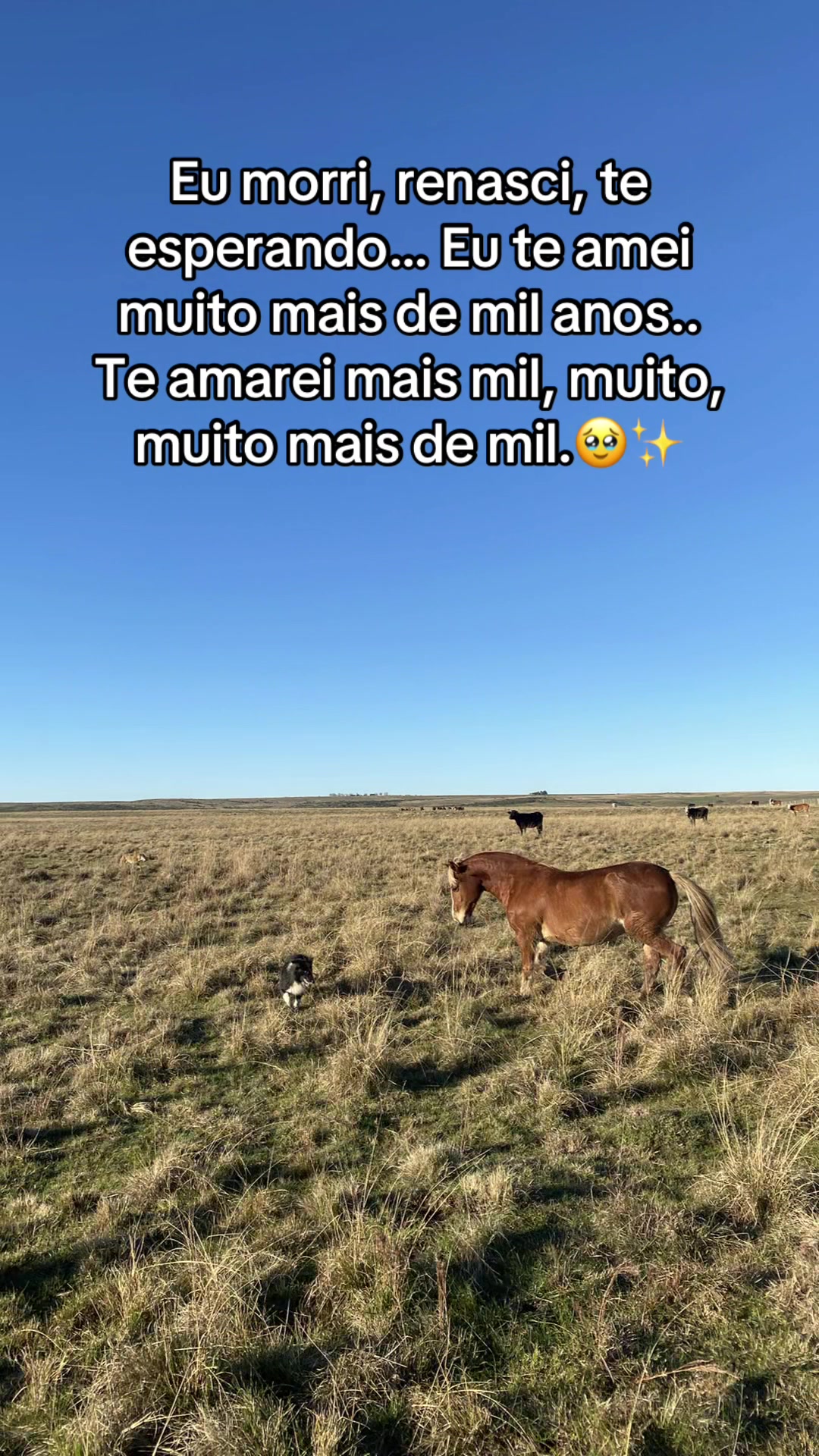 @marciaa_villagran