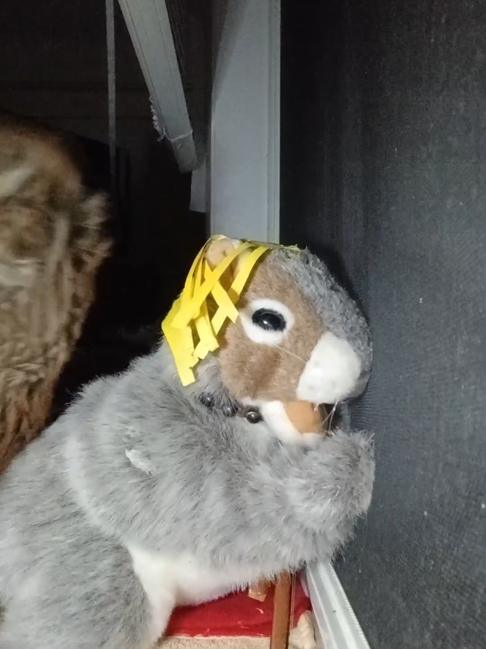 @Charles The Squirrel