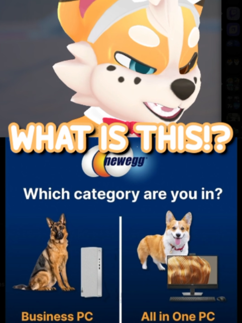 @Corgi