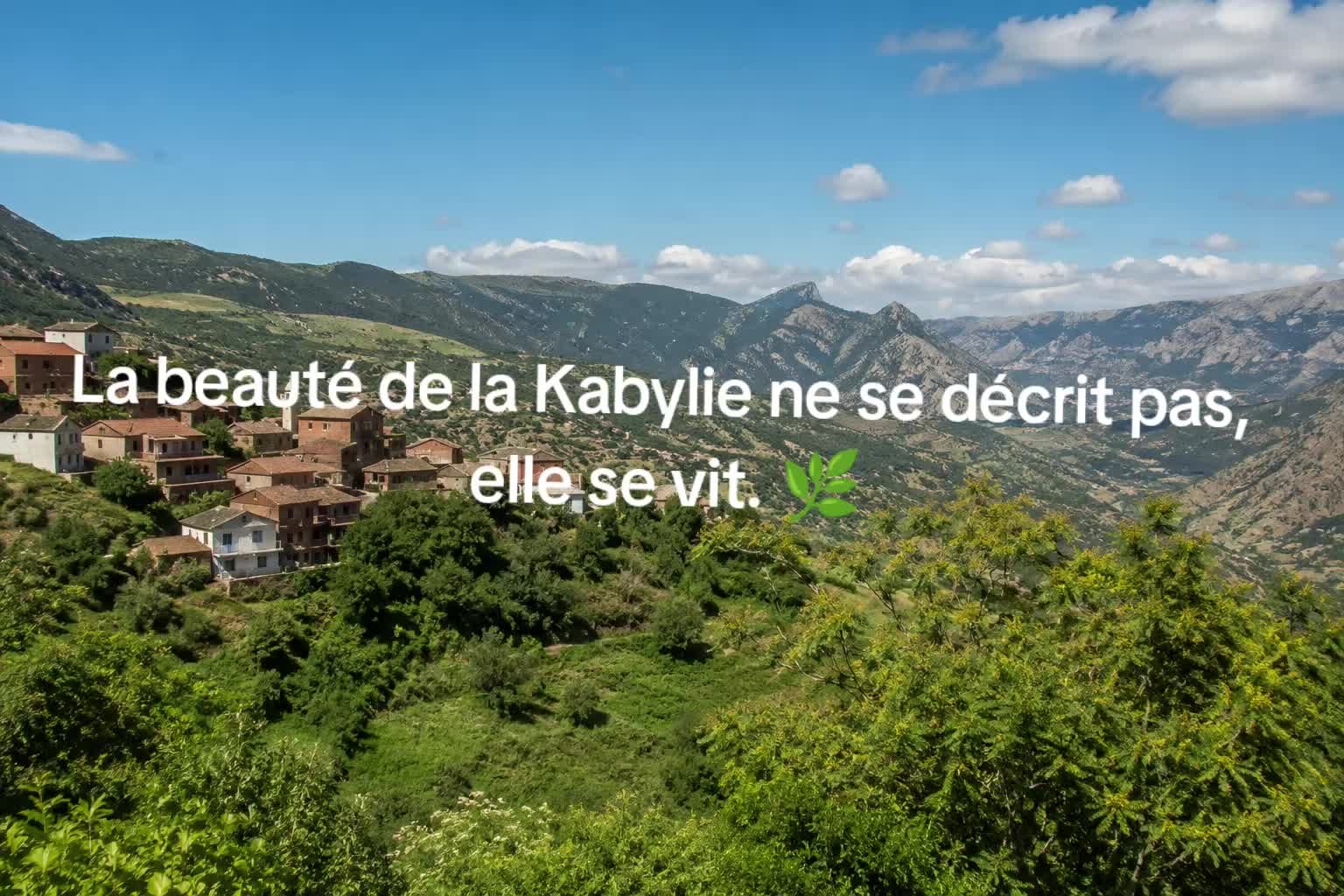 @🇨🇵 ⭐ &Eacute;toile kabyle ⭐🇩🇿
