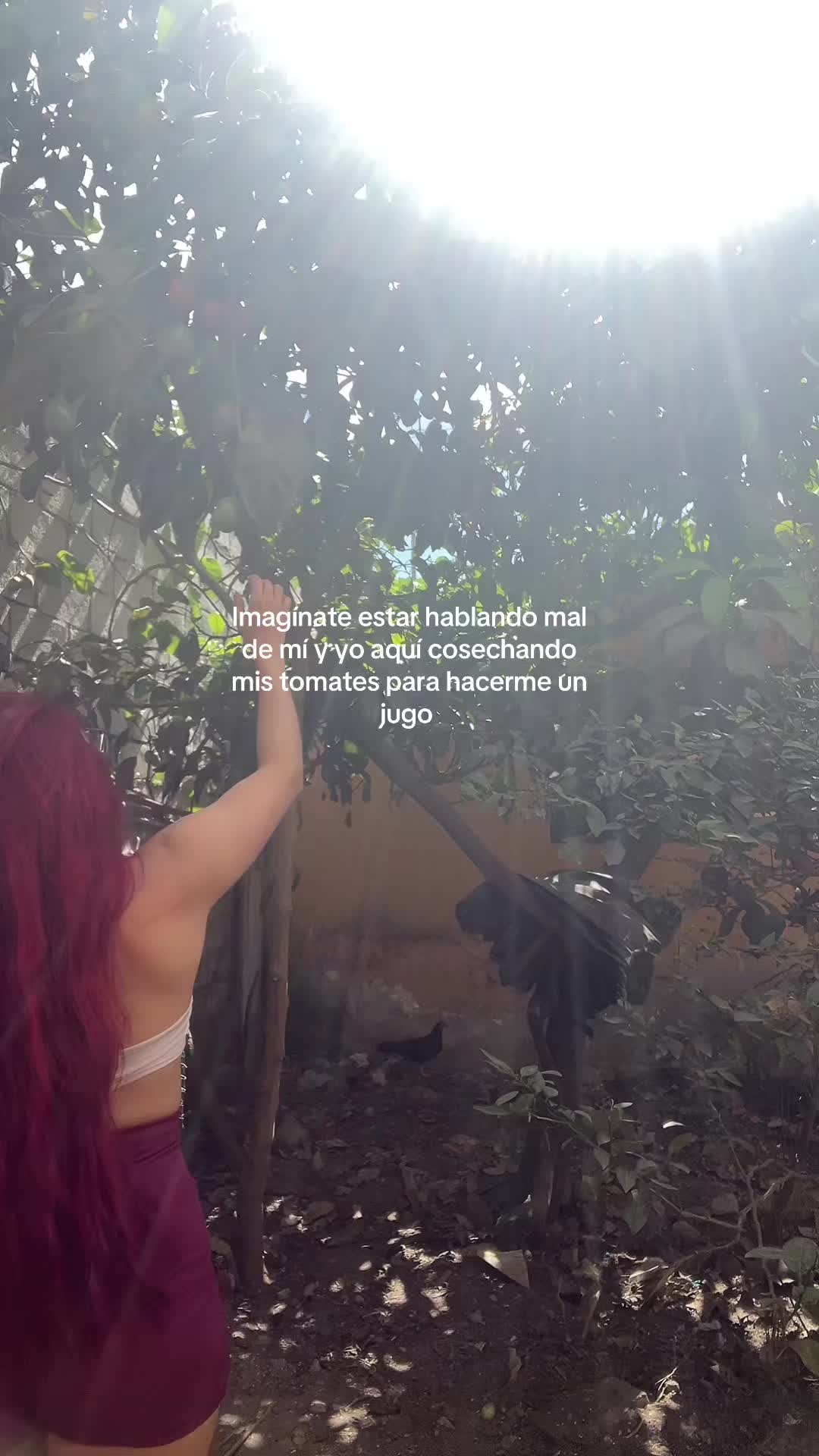 @deliciousrossev