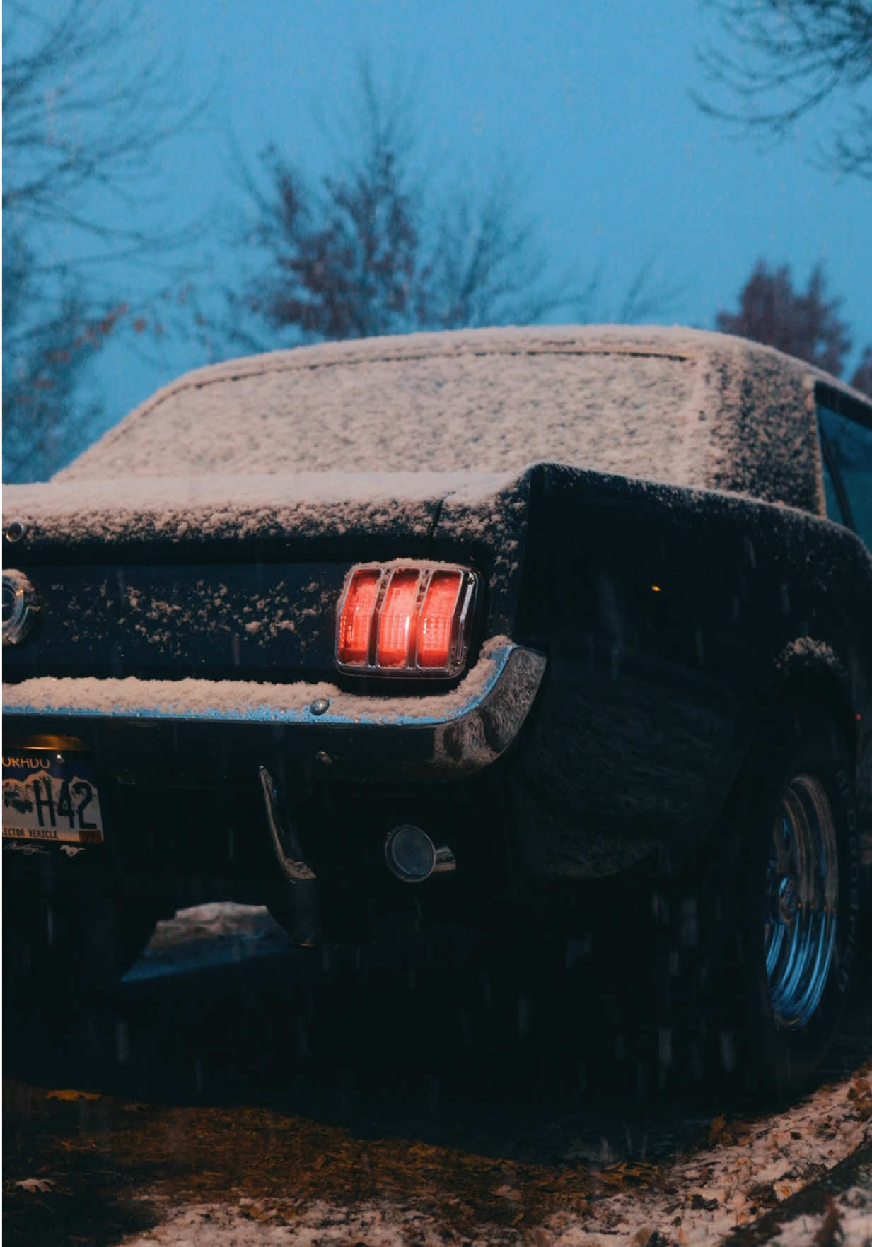 @65 WIDE