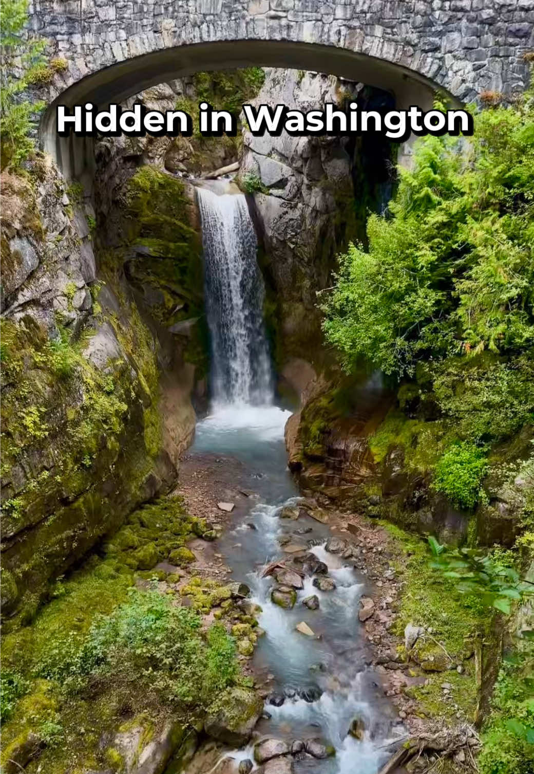 @Washington Vibes