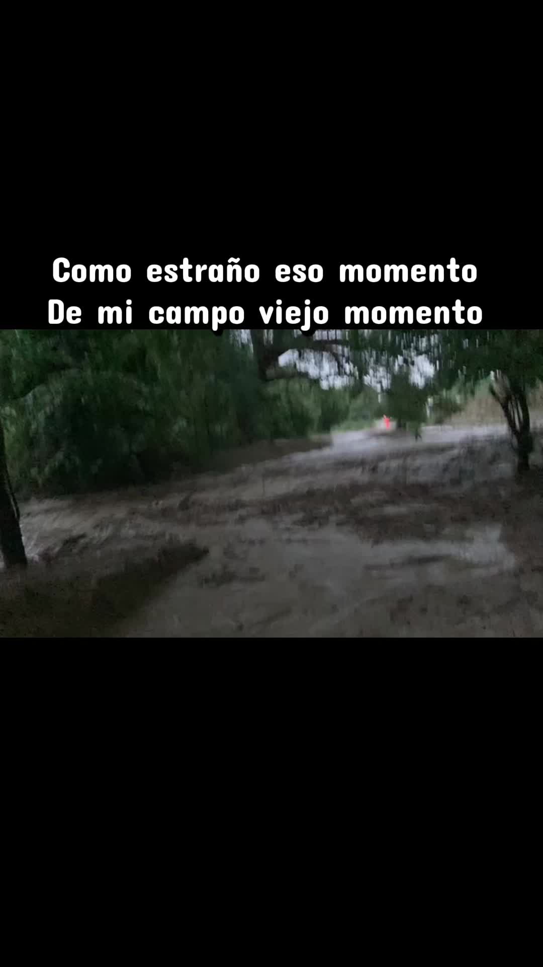 @Batista 🌺