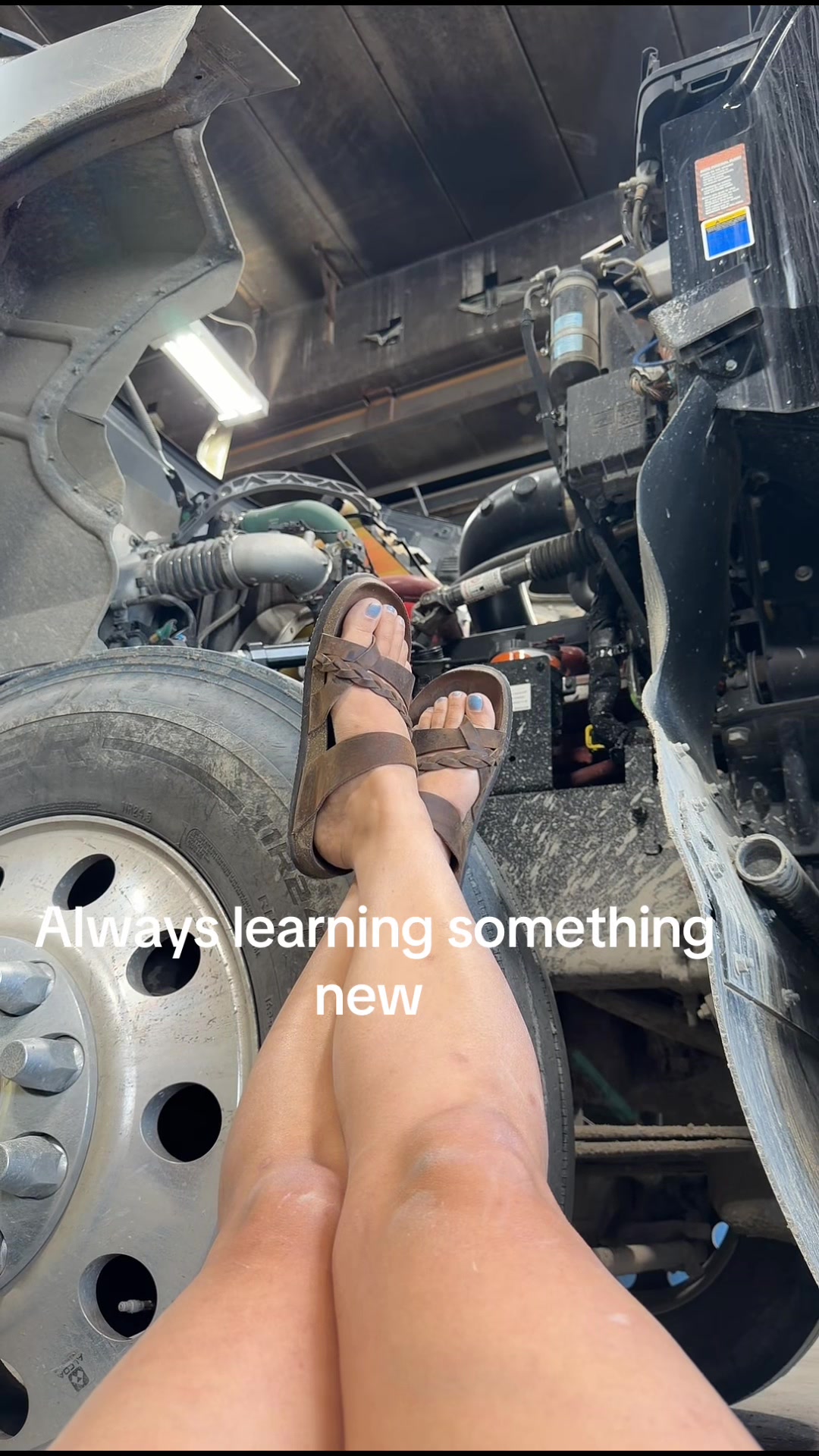 @thatmothertrucker